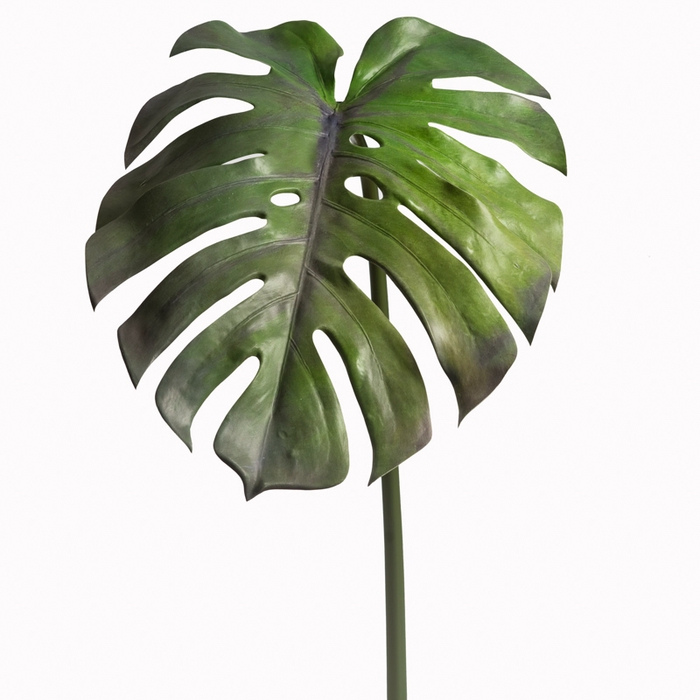 <h4>Af Monstera Blad L110cm Groen</h4>