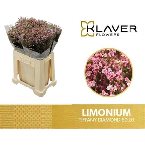 LIM SIN TIFFANY DIAM chambre