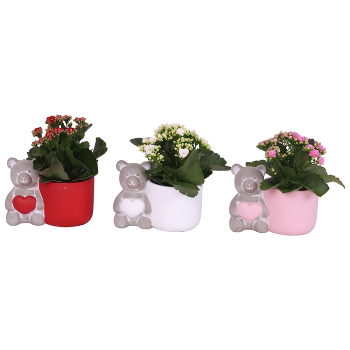 <h4>Valentine Arr. Indoor Ceramic Lovebearpot Heart Ø17cm 1PP</h4>