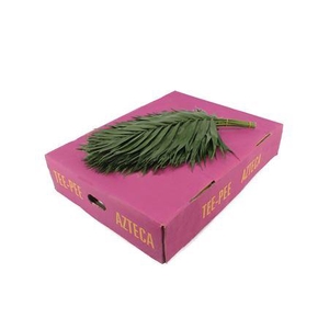 Deco Gr Tee Pee Purple P.bos