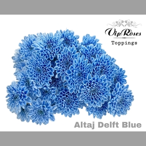 CHR T ALTAJ DELFT BLUE