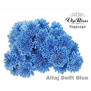 Chr T Altaj Delft Blue