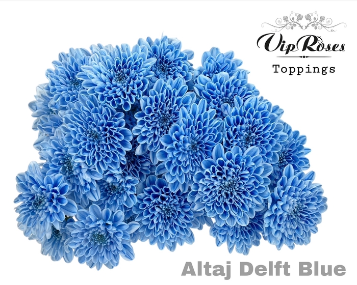<h4>Chr T Altaj Delft Blue</h4>