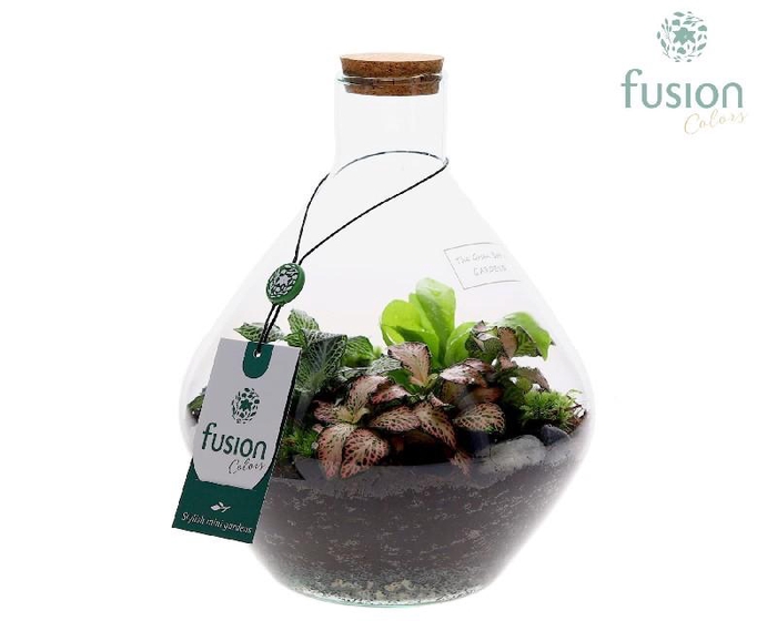 <h4>Arrangementen kamerplanten groen H% glas FC-21.1959FDH</h4>