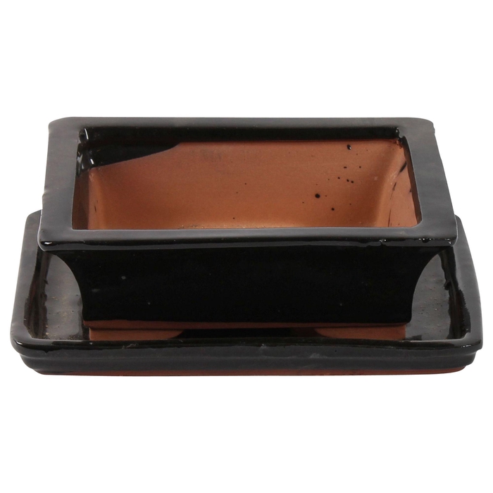 <h4>Bonsai accesoires Potset with saucer Ø20cm Black</h4>