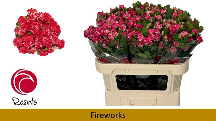 <h4>R Tr Fireworks</h4>