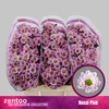 CHR S ROSSI PINK