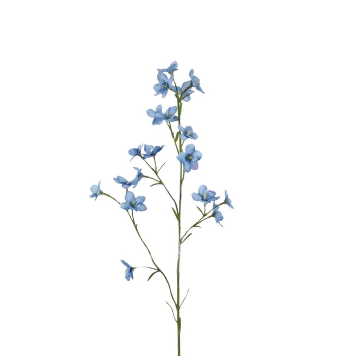 Delphinium 79cm