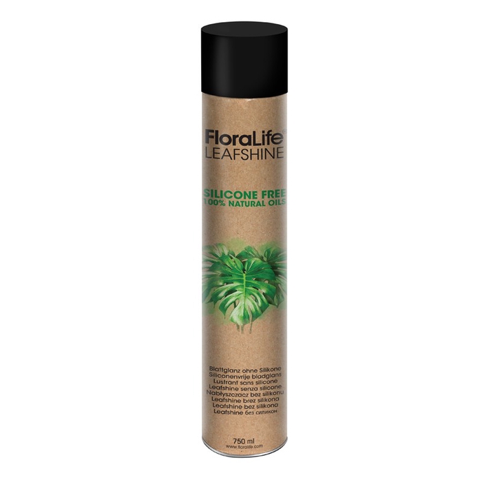 <h4>Lustrant sans silicone</h4>