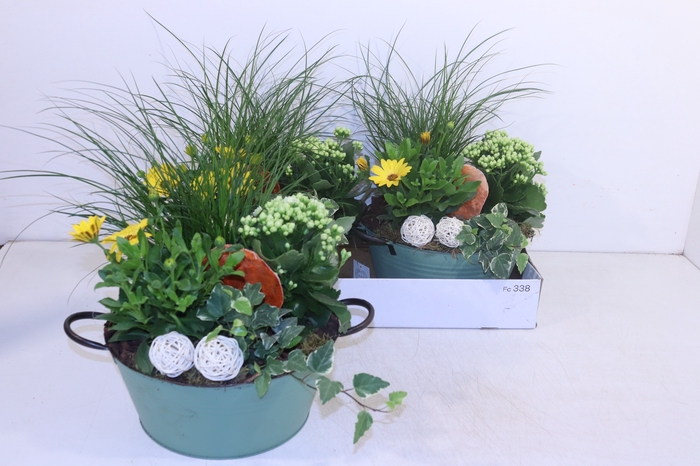 <h4>ARR TUINPLANTEN</h4>
