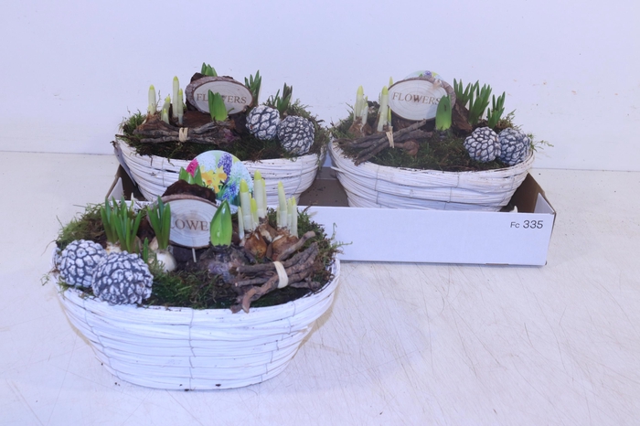 <h4>ARR BOL KNOLGEWAS</h4>