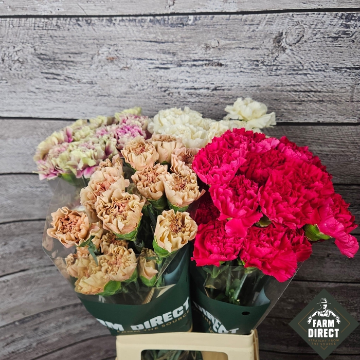 <h4>DI ST GEMENGD IN FUST</h4>