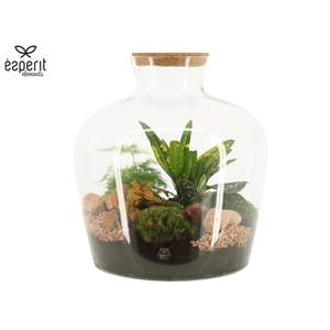 90846: Terrarium XXL Bottle Jar D33 / H35