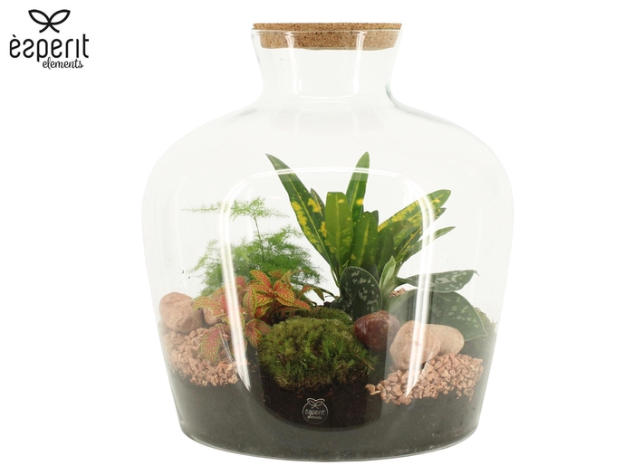 <h4>90846: Terrarium XXL Bottle Jar D33 / H35</h4>