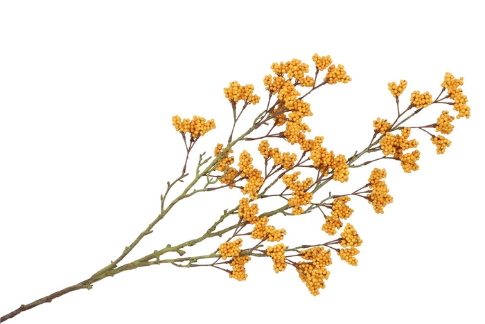 Silk Berry Spice Yellow 108cm Nm