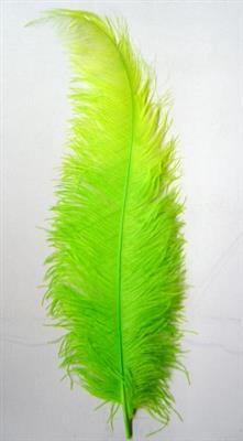<h4>DROOG STRUISVOGELVEREN APPELGROEN</h4>