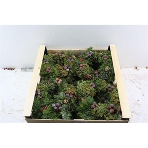 Wr Advent Christmas Deluxe 35cm