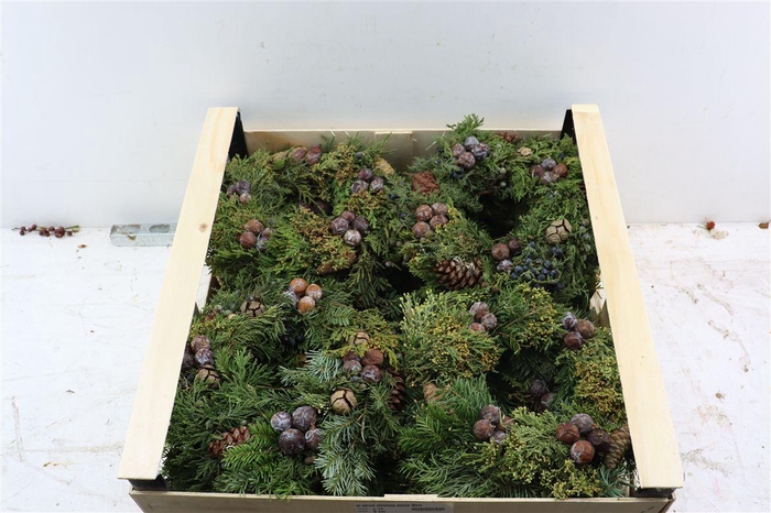 <h4>Wr Advent Christmas Deluxe 35cm</h4>