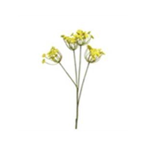 Tak Anethum 68cm geel