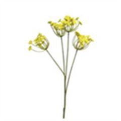 <h4>Tak Anethum 68cm geel</h4>