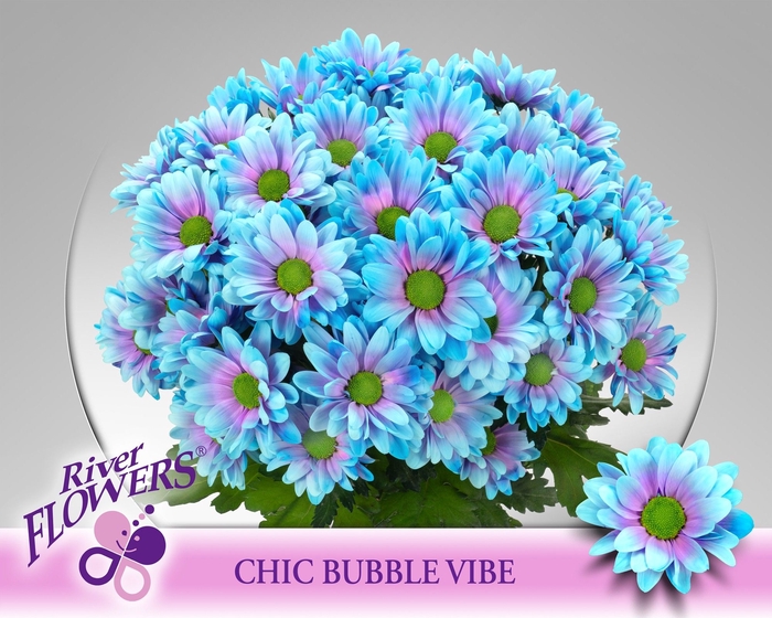 <h4>CHR T OV KLB H%</h4>