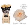 R GR CREAM FRAGRANC+