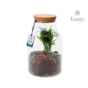 Melkbus met Terrarium