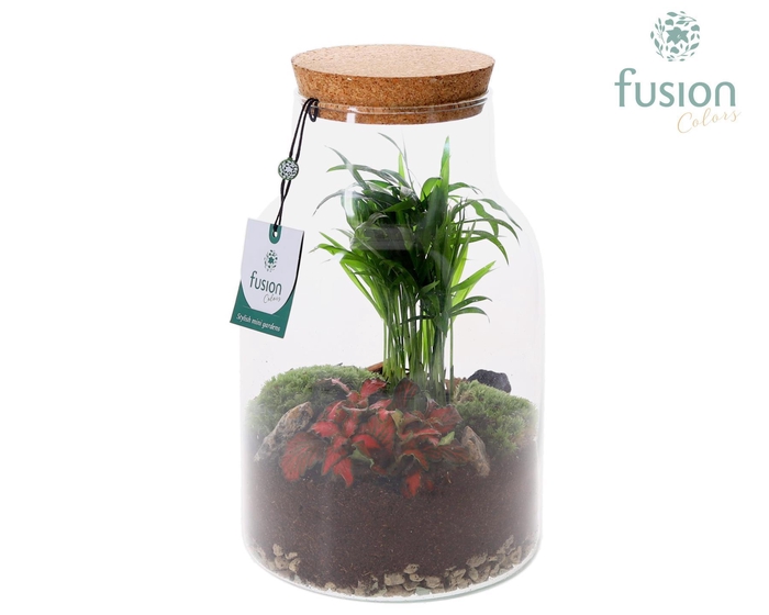 <h4>Melkbus met Terrarium</h4>