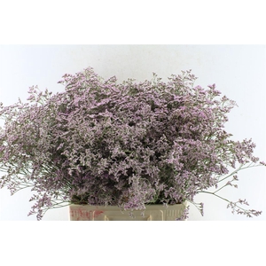 Lim Saf Oshi Pink 45 Gram