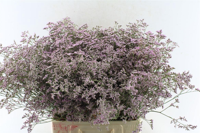 <h4>Lim Saf Oshi Pink 45 Gram</h4>