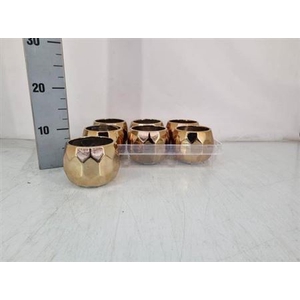 Deco Pot H% Goud