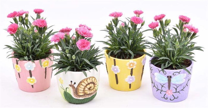 <h4>Keramiek sierpotjes 10cm</h4>