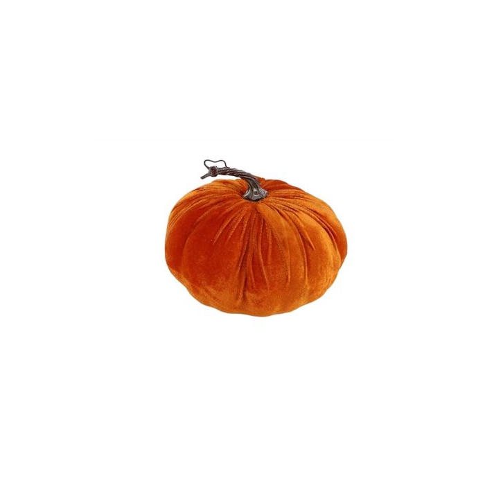 <h4>Pumpkin Velvet H15D24</h4>