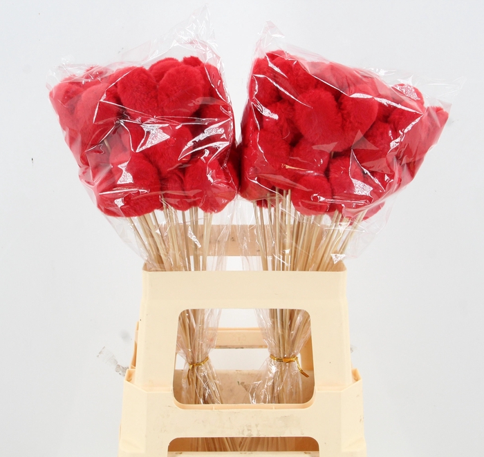 <h4>HUIS EN TUINDECO H%</h4>