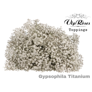 GYPS PA TITANIUM
