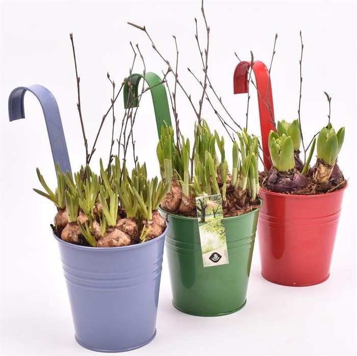 <h4>Zink balkon hanger 3kl mix 13cm</h4>