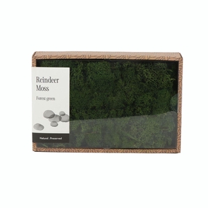 Ijslandmos (reindeer) Forest Green - Box M