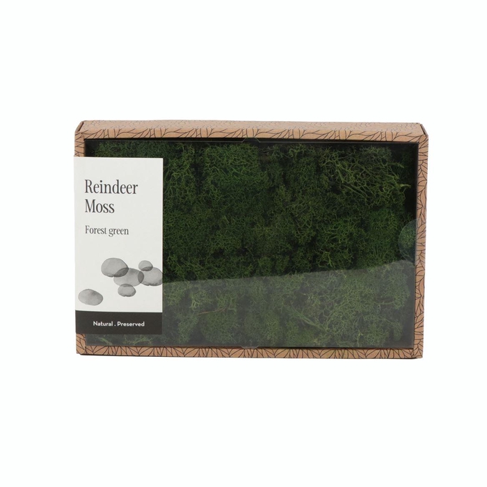 <h4>Ijslandmos (reindeer) Forest Green - Box M</h4>