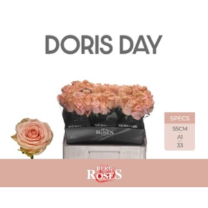 R Gr Doris Day Berg
