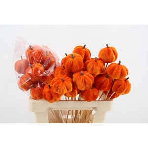 Stick Pumpkin 5/6cm Orange