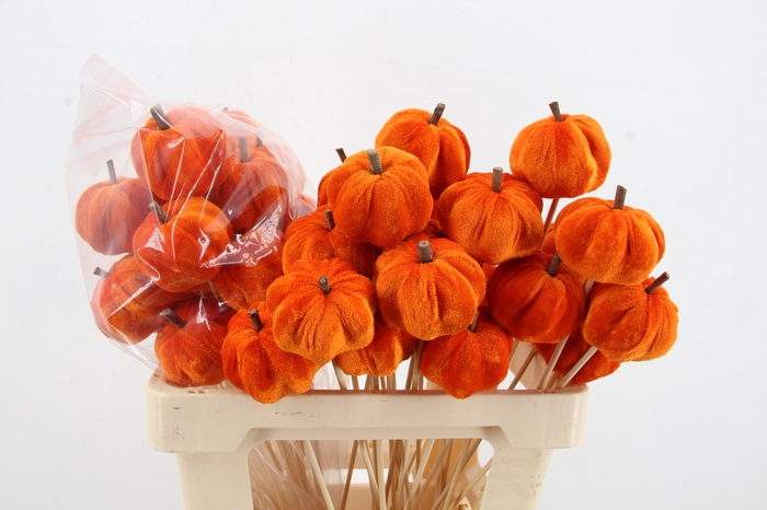 <h4>Stick Pumpkin 5/6cm Orange</h4>
