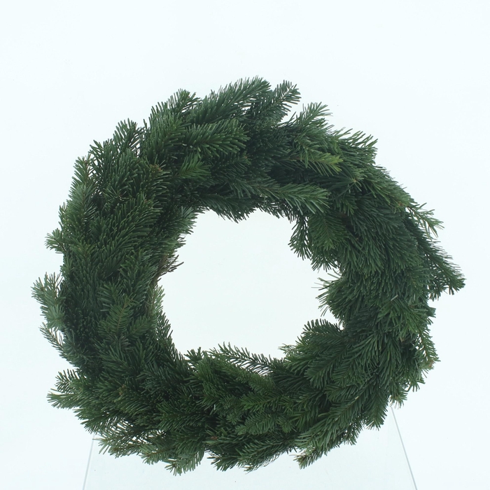 <h4>NORDMAN KRANS</h4>