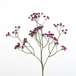 AF Gypsophila spray L62cm d.pi