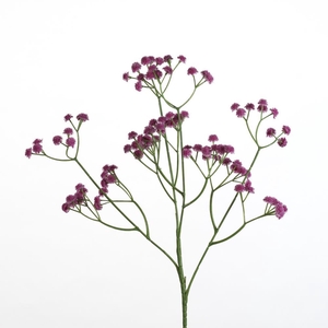 AF Gypsophila spray L62cm d.pi