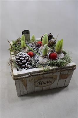 <h4>1111 Flower VK HYA</h4>