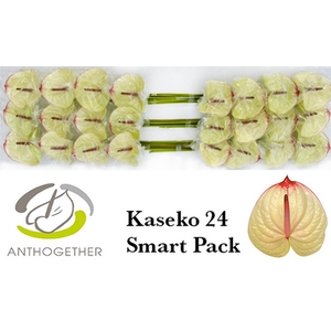 Anth A Kaseko Smart Pack Bouman