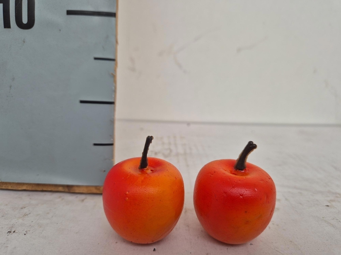 <h4>HUIS EN TUINDECO H%</h4>