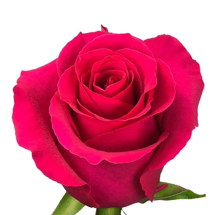 <h4>R GR Gotcha</h4>