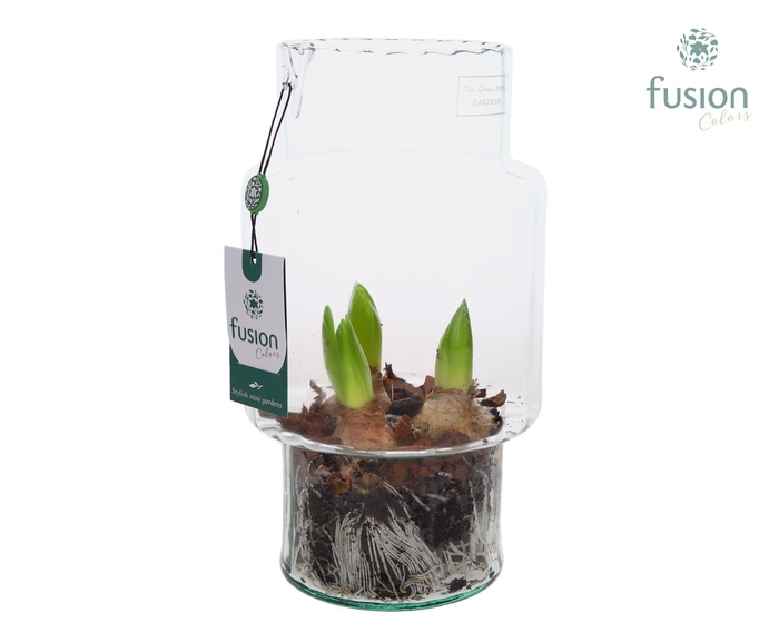 <h4>Green Bottle Sara Medium met Hyacinten</h4>