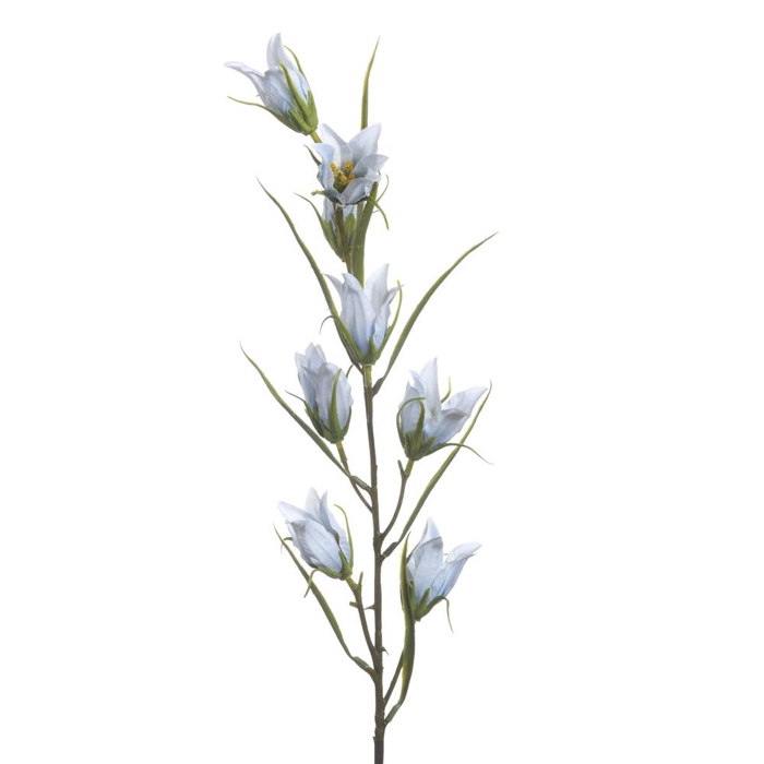 <h4>Af Campanula L94cm L.blue</h4>